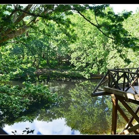 Horio House Holiday home *